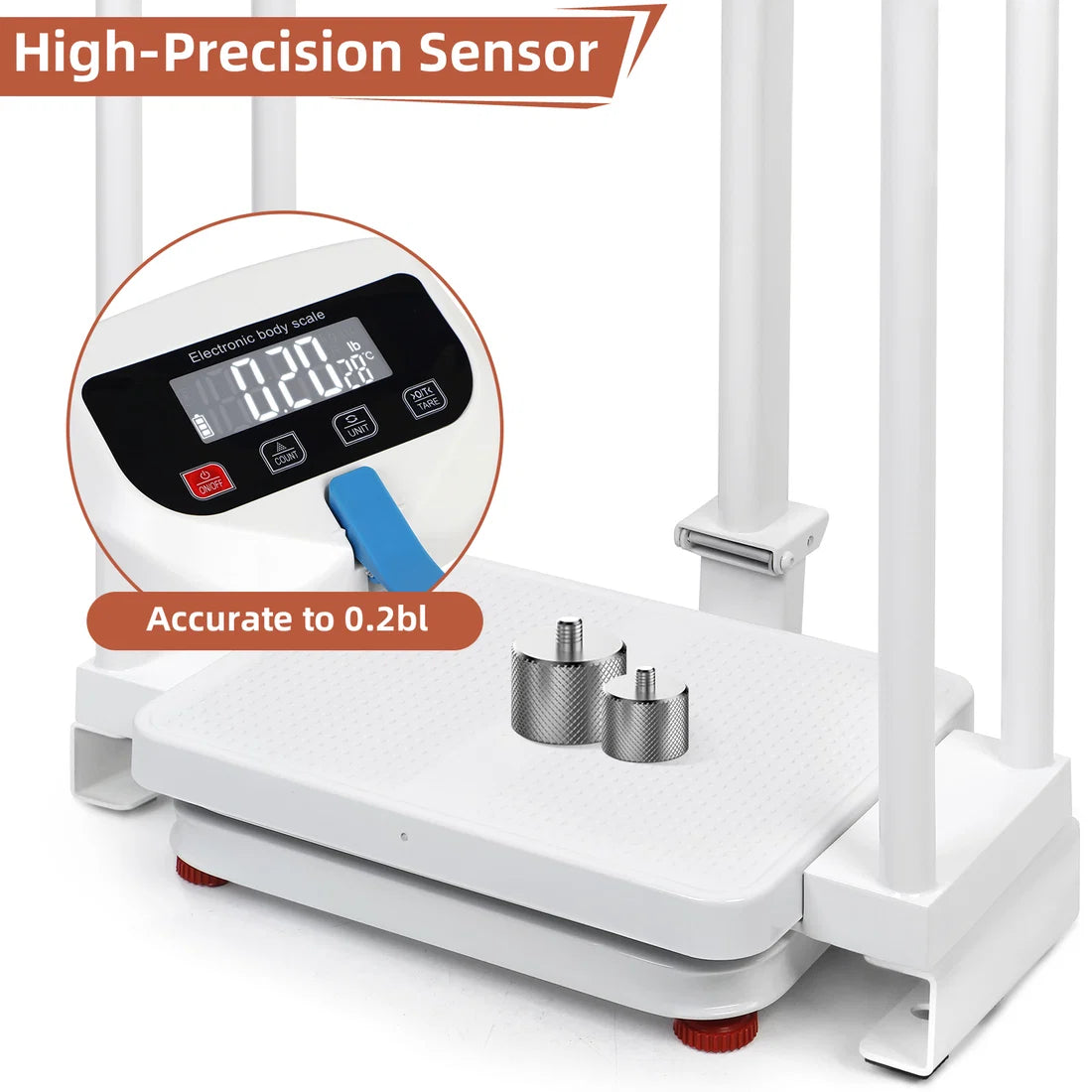 High-precision medical scale with digital display and sensor accurate to 0.2 lb